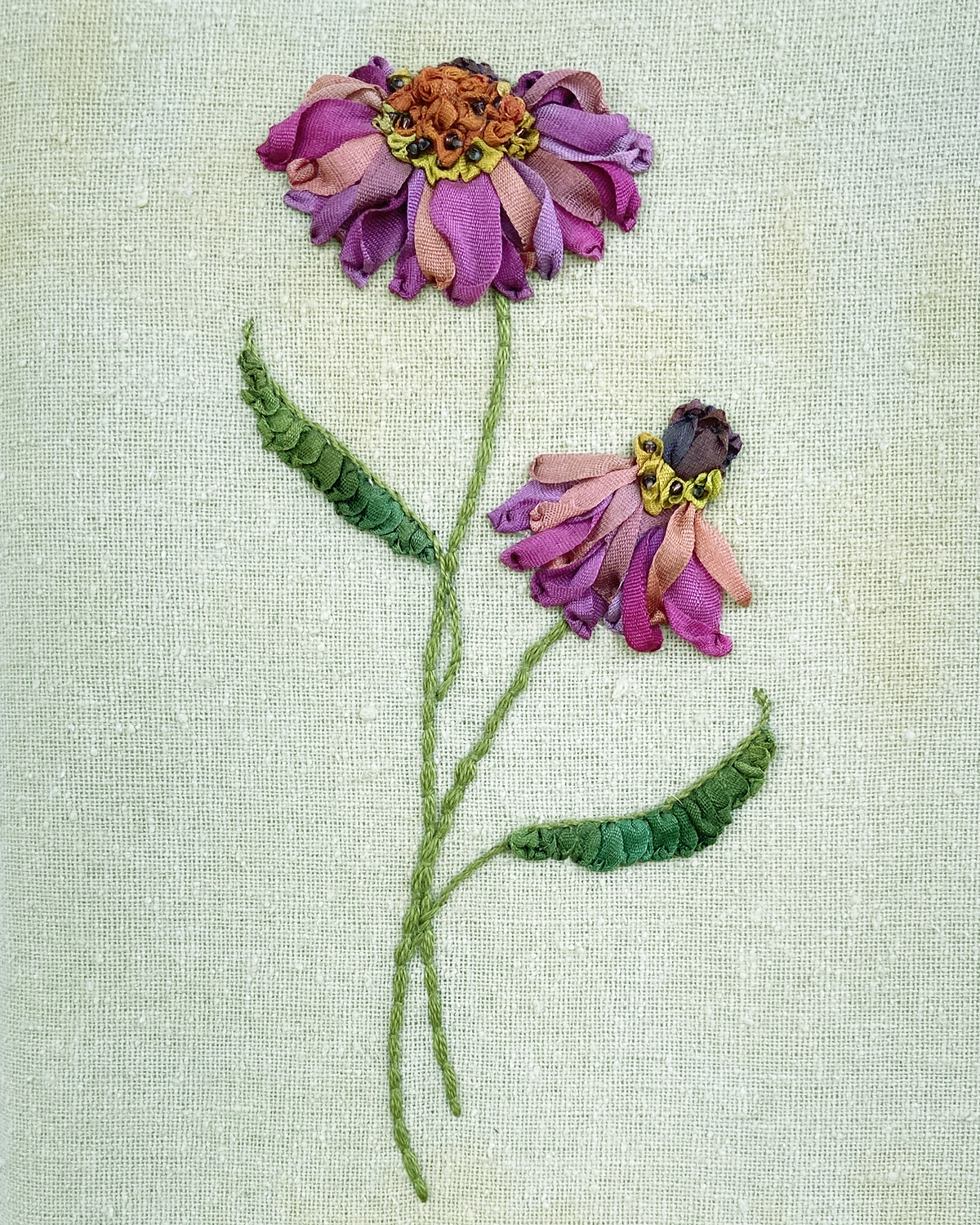 Echinacea