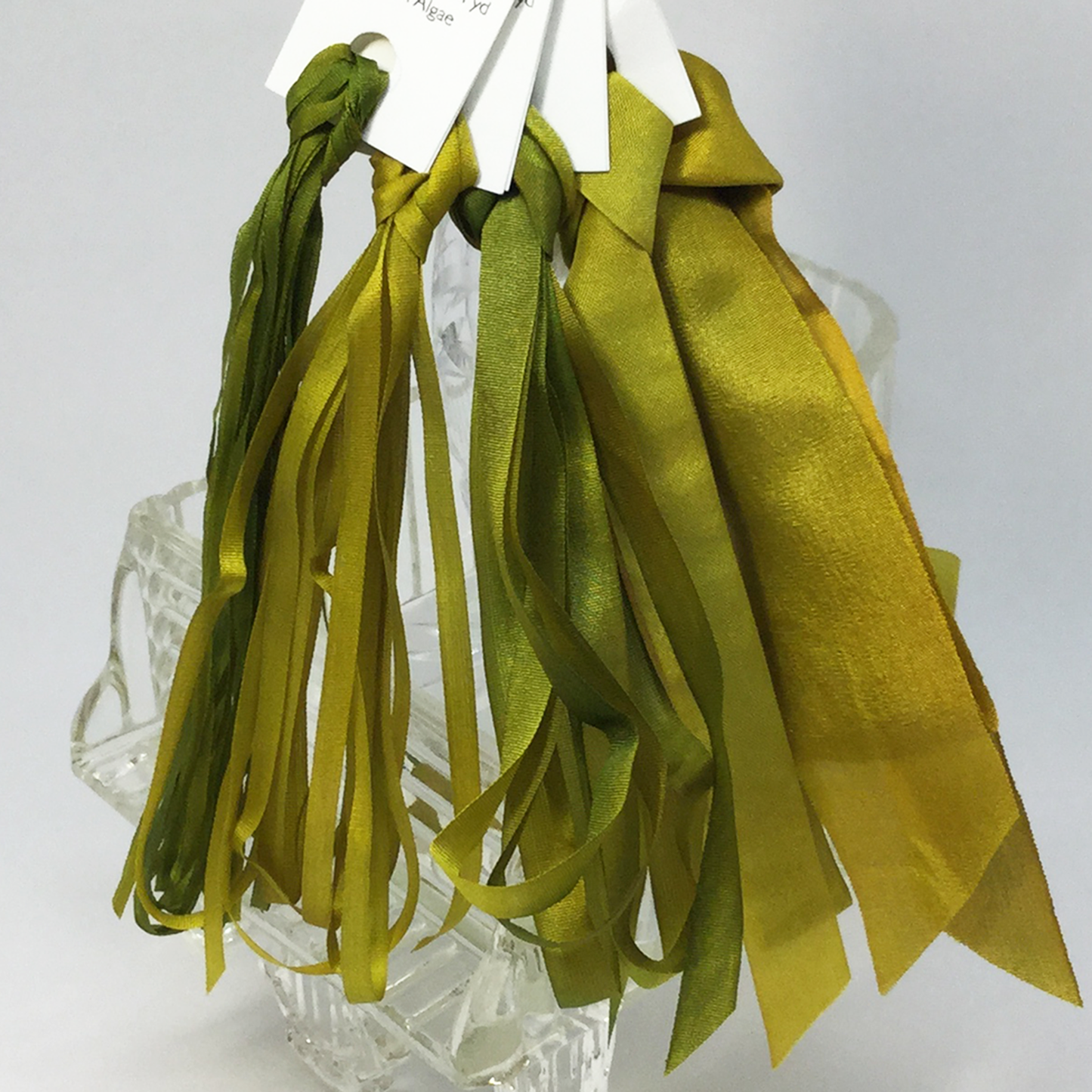 Green Algae Ribbon