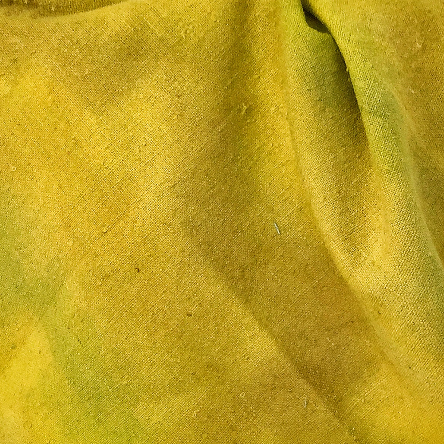 Goldenrod Noil