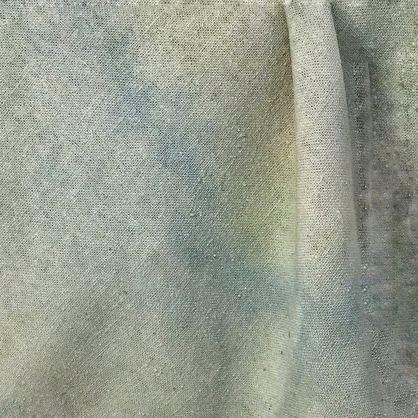 Hydrangea Noil