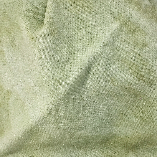 Willow Noil