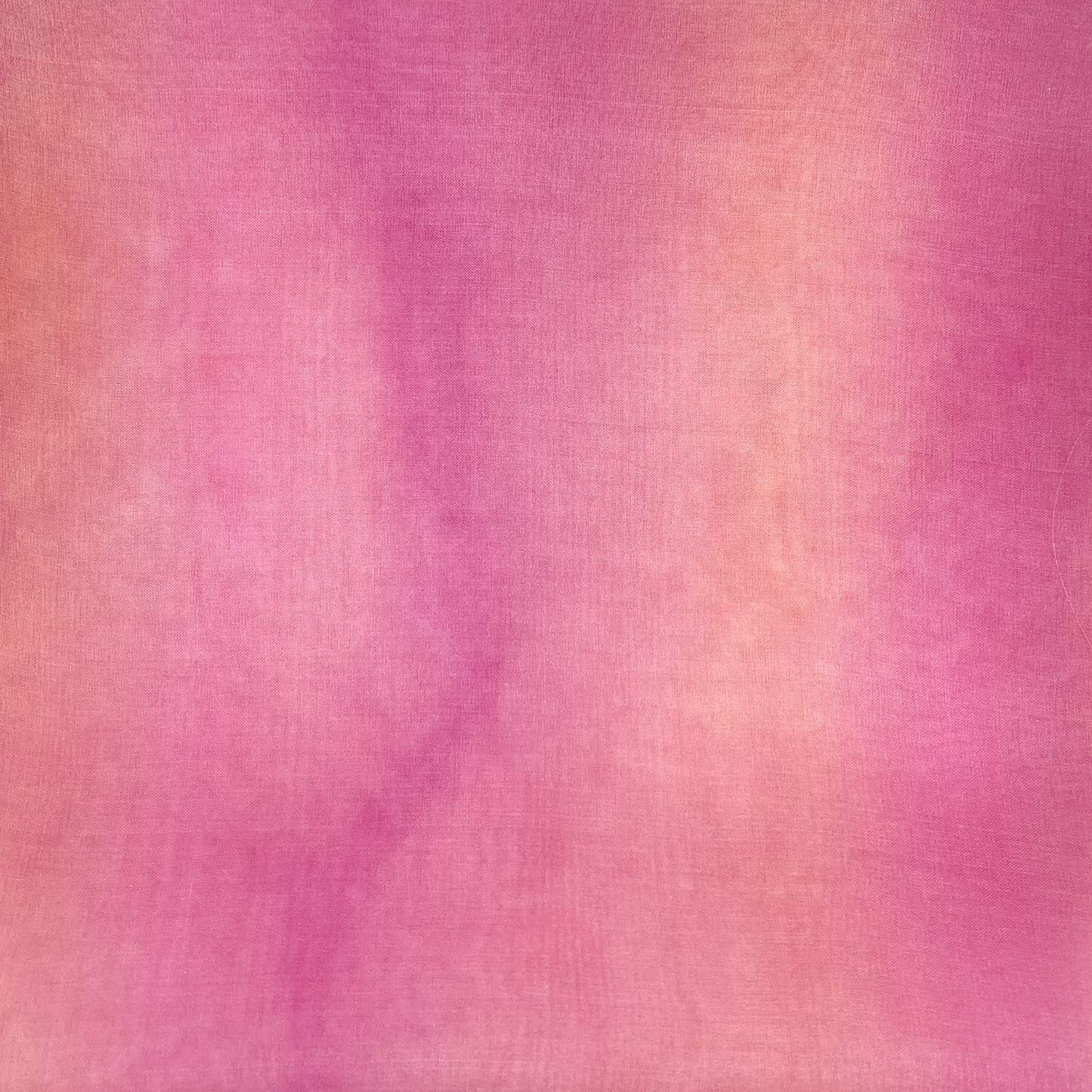 Cabbage Rose Organza