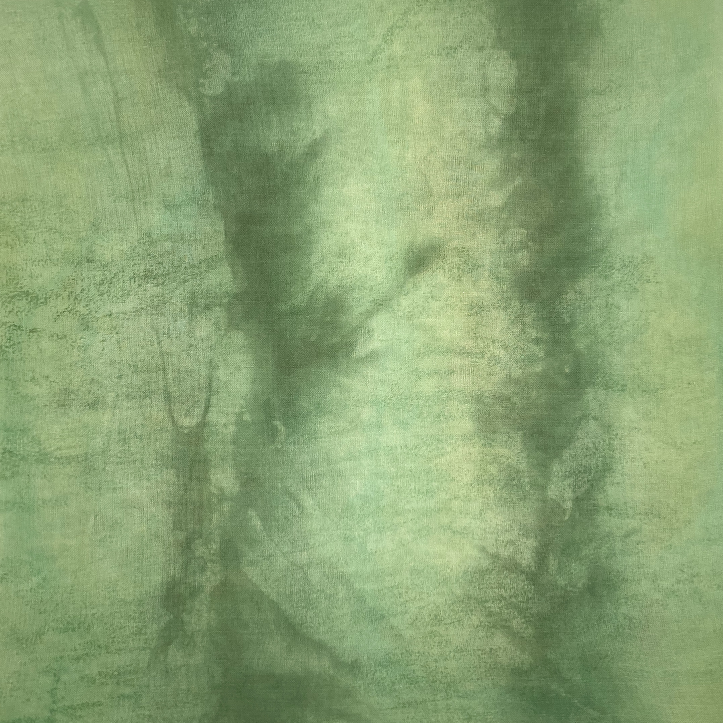 Spring Green Organza