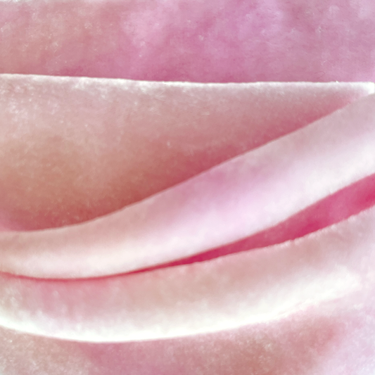 Champagne Blush Silk Velvet