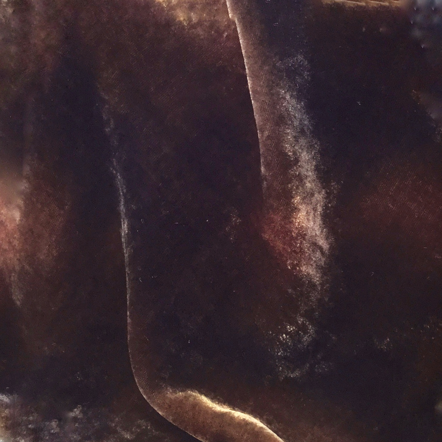Twig Silk Velvet