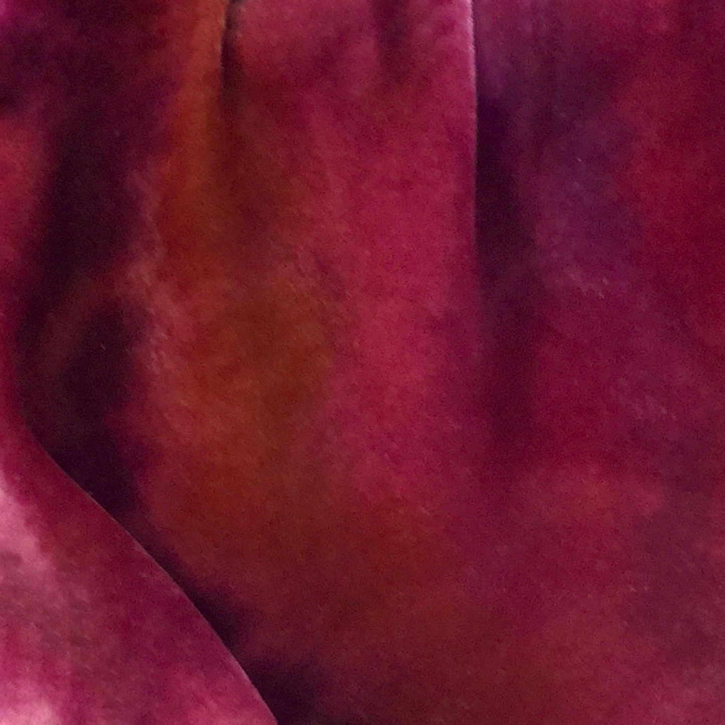 Coral Rose Silk Velvet