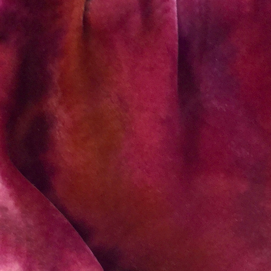Coral Rose Silk Velvet