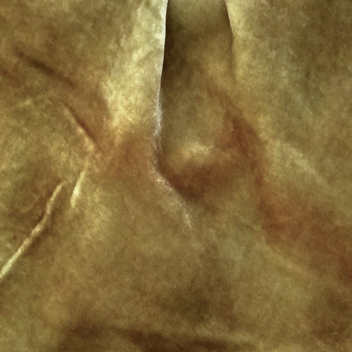 Camel Silk Velvet