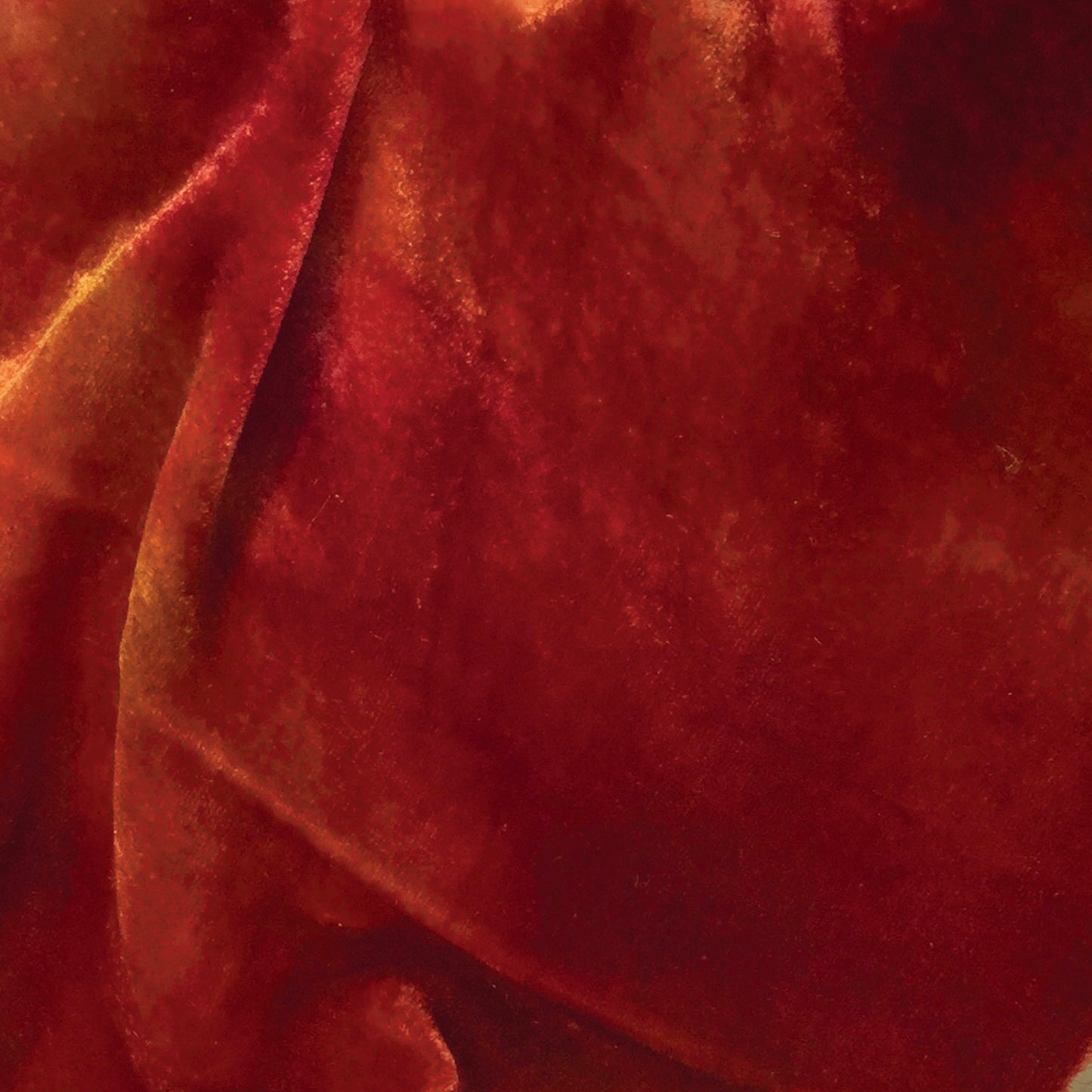 Tomato Silk Velvet
