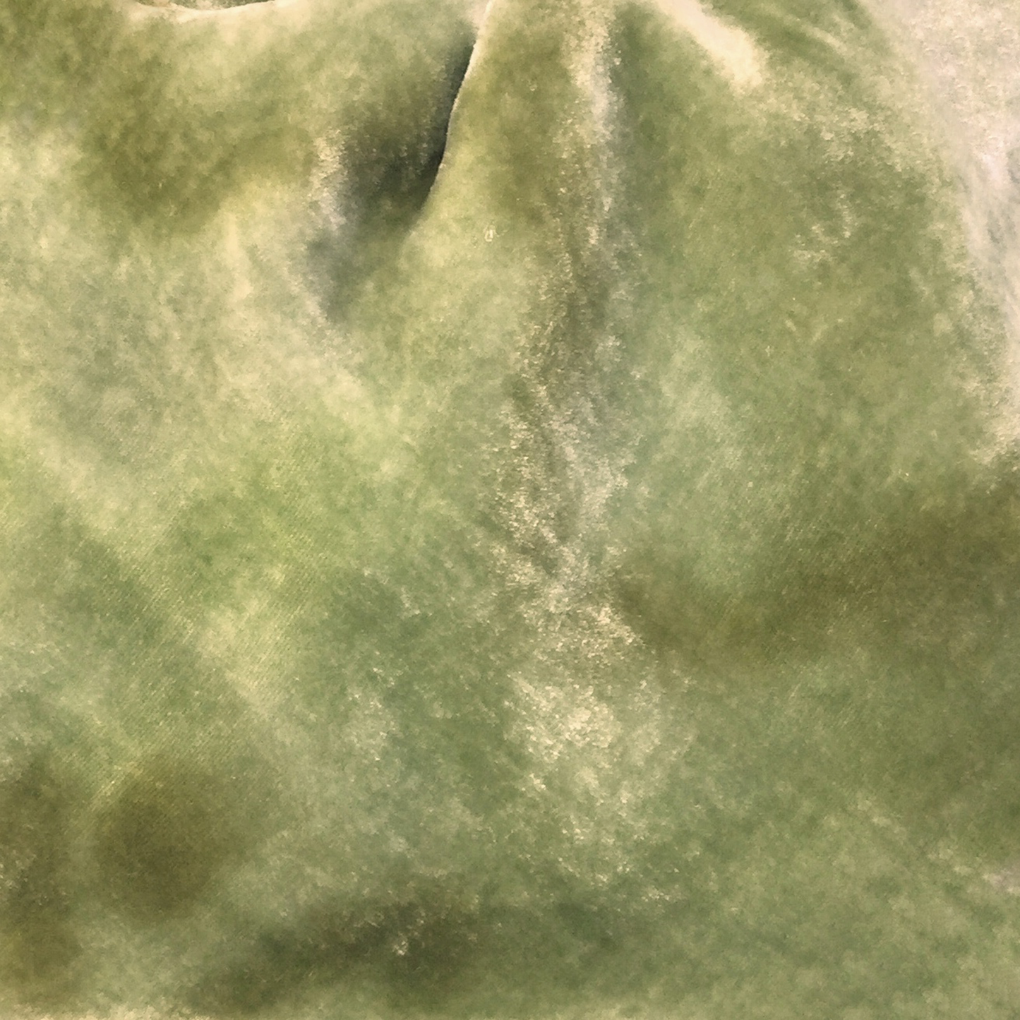 Willow Silk Velvet