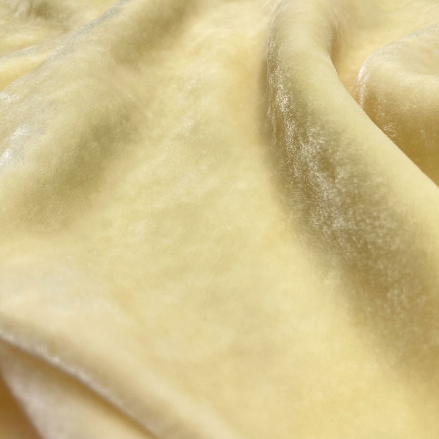 Daffodil Silk Velvet