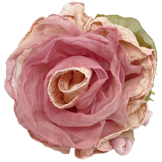 Blush Crinkle Rose