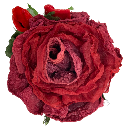 Candy Apple Crinkle Rose