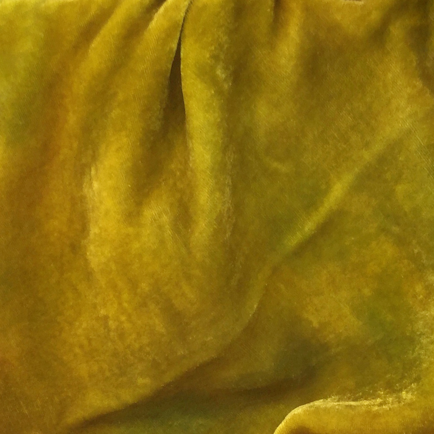Goldenrod Silk Velvet