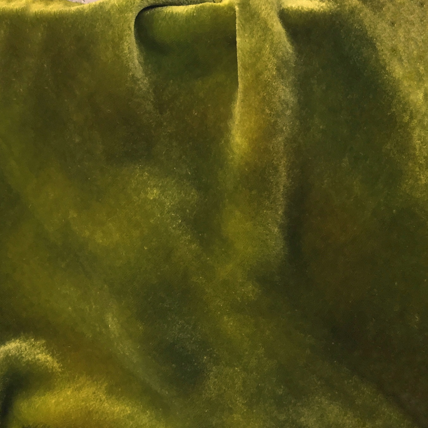 Green Algae Silk Velvet